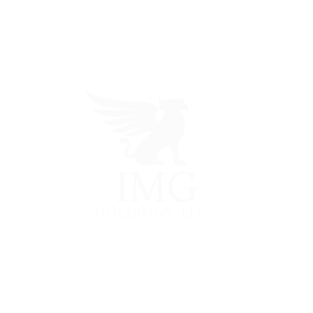 IMG Holdings