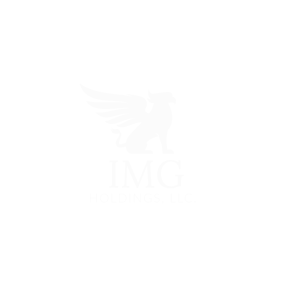 International Media Group Holdings LLC